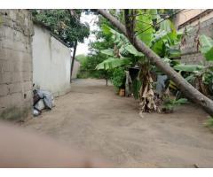 Vende-se ruina com 1260m² na Cidade da Matola - 6