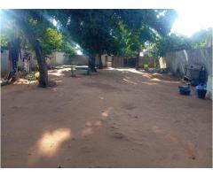 Vende-se ruina com 450m² na Cidade da Matola - 3