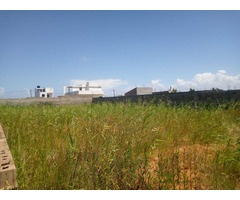 Terrenos com aterro e vedados com DUAT e Planta Topografica - 2