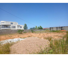 Terrenos com aterro e vedados com DUAT e Planta Topografica - 3