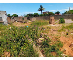 Terrenos com aterro e vedados com DUAT e Planta Topografica - 4