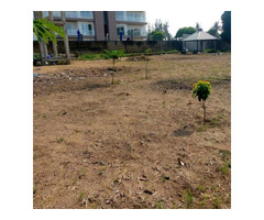 Trespasse terrenos em Laulne Zona da Dona Alice - 2