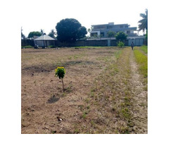 Trespasse terrenos em Laulne Zona da Dona Alice - 3