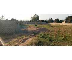 Mahotas Trespasse terrenos 15/28 num condomínio a berma da estrada. - 4