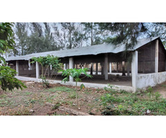 Vende-se Aviário com 5 pavilhões em Campoane Matola Rio - 4