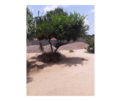 Trespasse de terreno 15x30m na matola - Tsalala á escassos minutos da paragem farmácia, - 5