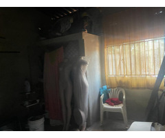 Vende-se casa T3 nas Mahotas - na paragem Muswaze - 1