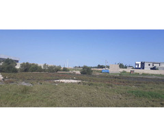 Trespassa-se terrenos[20×30 e 15×30] em Mapulene - 4