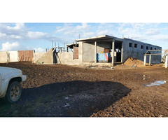 Vende-se propriedade agropecuária com 2000 hectares em Chokwé - Gaza - 4