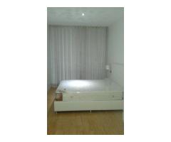 PLATINUM RESIDENCE temos Luxuoso Apartamento T1 mobilado - 2