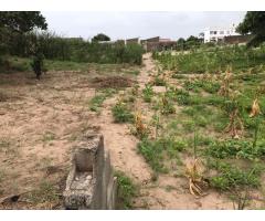 TRESPASSE TERRENO MEMO - MARRACUENE Desvio da Facim, próximo a esquadra - 3