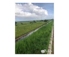 Trespasse 12 Hectares na Estrada Circular Muntanhana