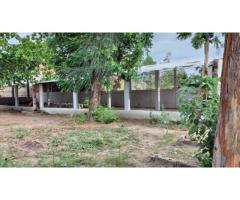 Vende-se quinta Aviário em CAMPOANE - 3