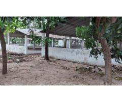 Vende-se quinta Aviário em CAMPOANE - 4