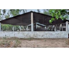 Vende-se quinta Aviário em CAMPOANE - 5