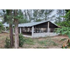 Vende-se quinta Aviário em CAMPOANE - 6