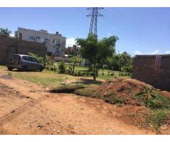 Trespassa-se terreno no triunfo novo  na costa do sol dona A - 3